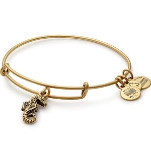 Alex and ani seahorse bracelet